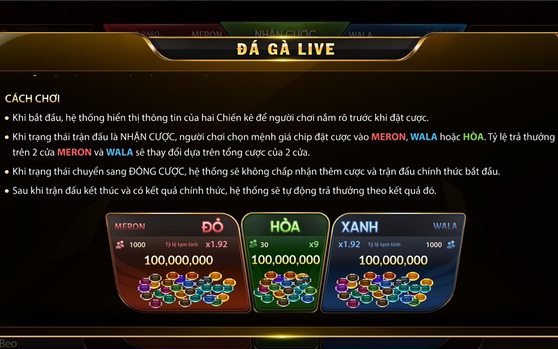 Quan sát tổng thể Quan sát tổng thể khi chơi Đá Gà live